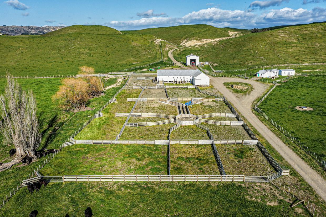 aerial view of Hawke's Bay farm