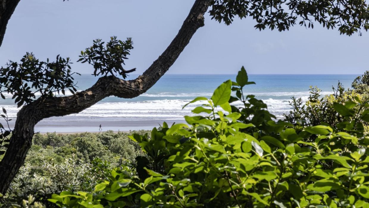 view of Piha beach