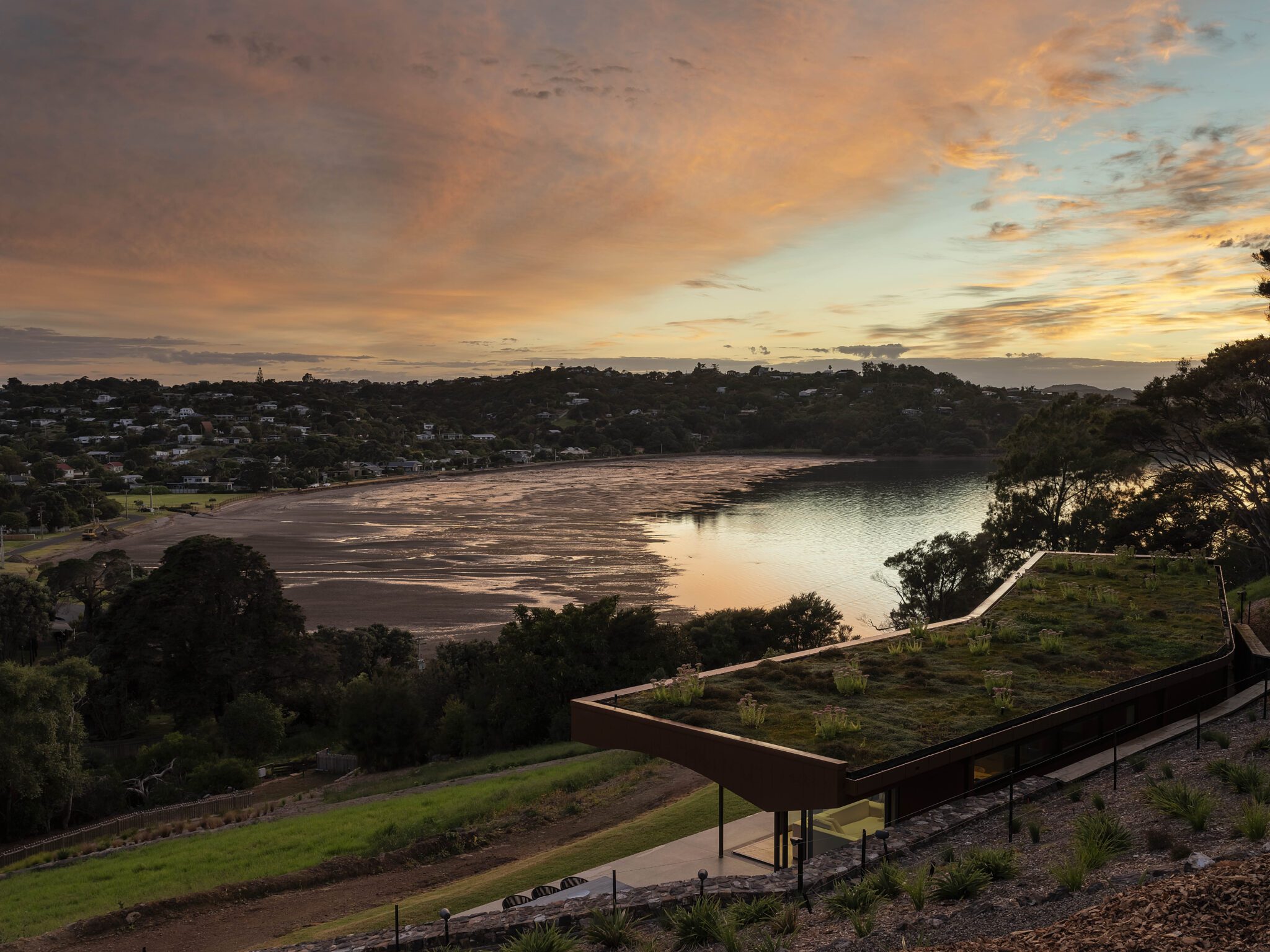Looking down onto a green roof with plants to a water view.