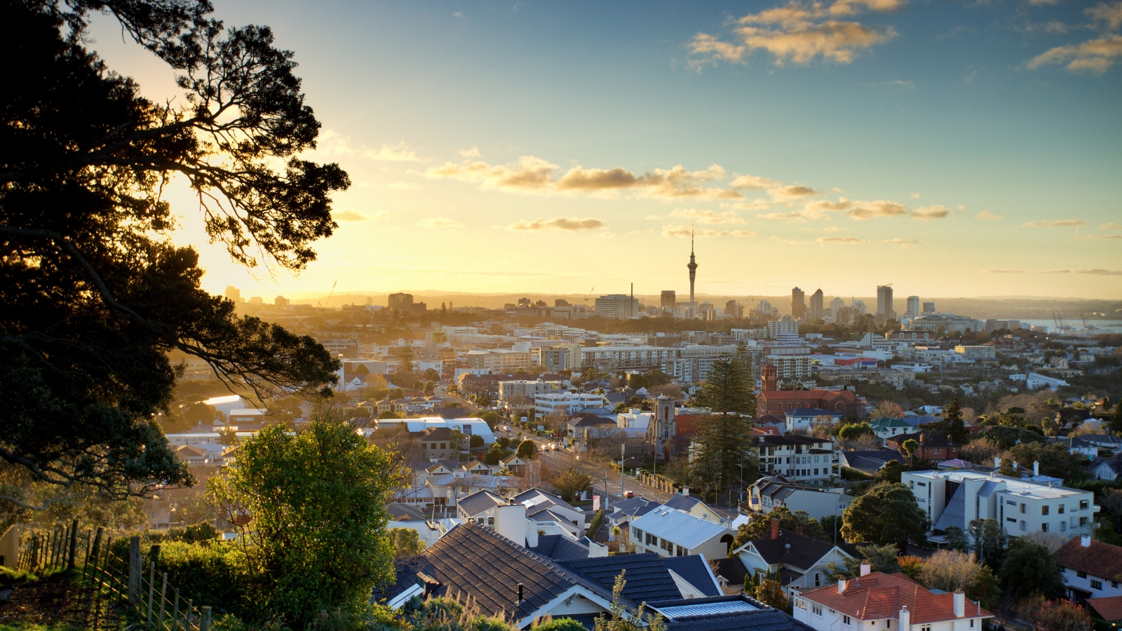 Auckland from on high. 