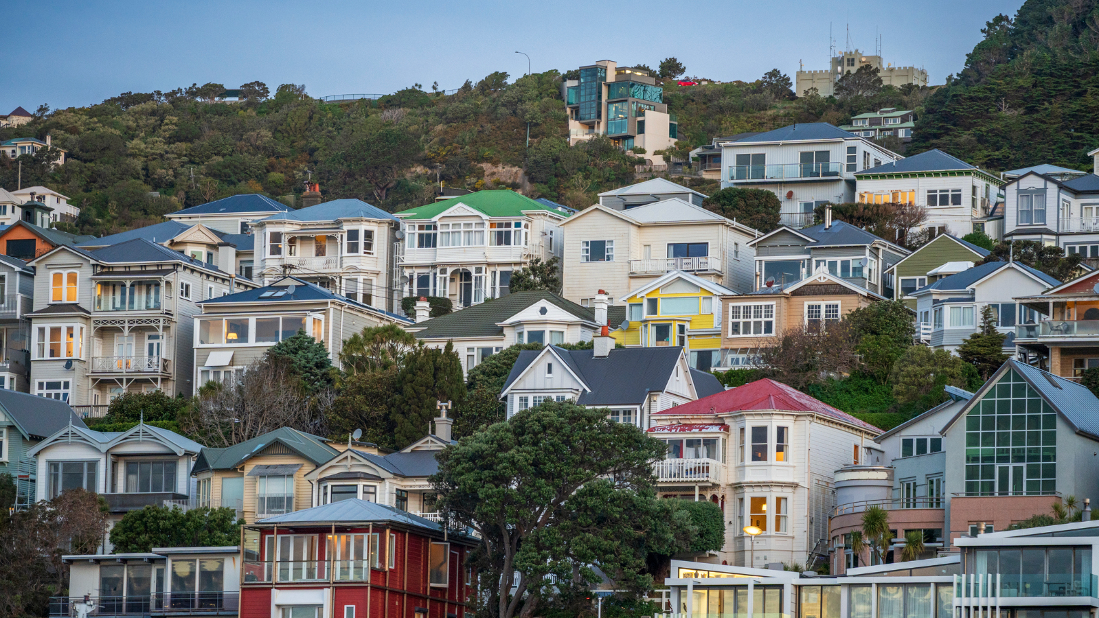 Wellington houses