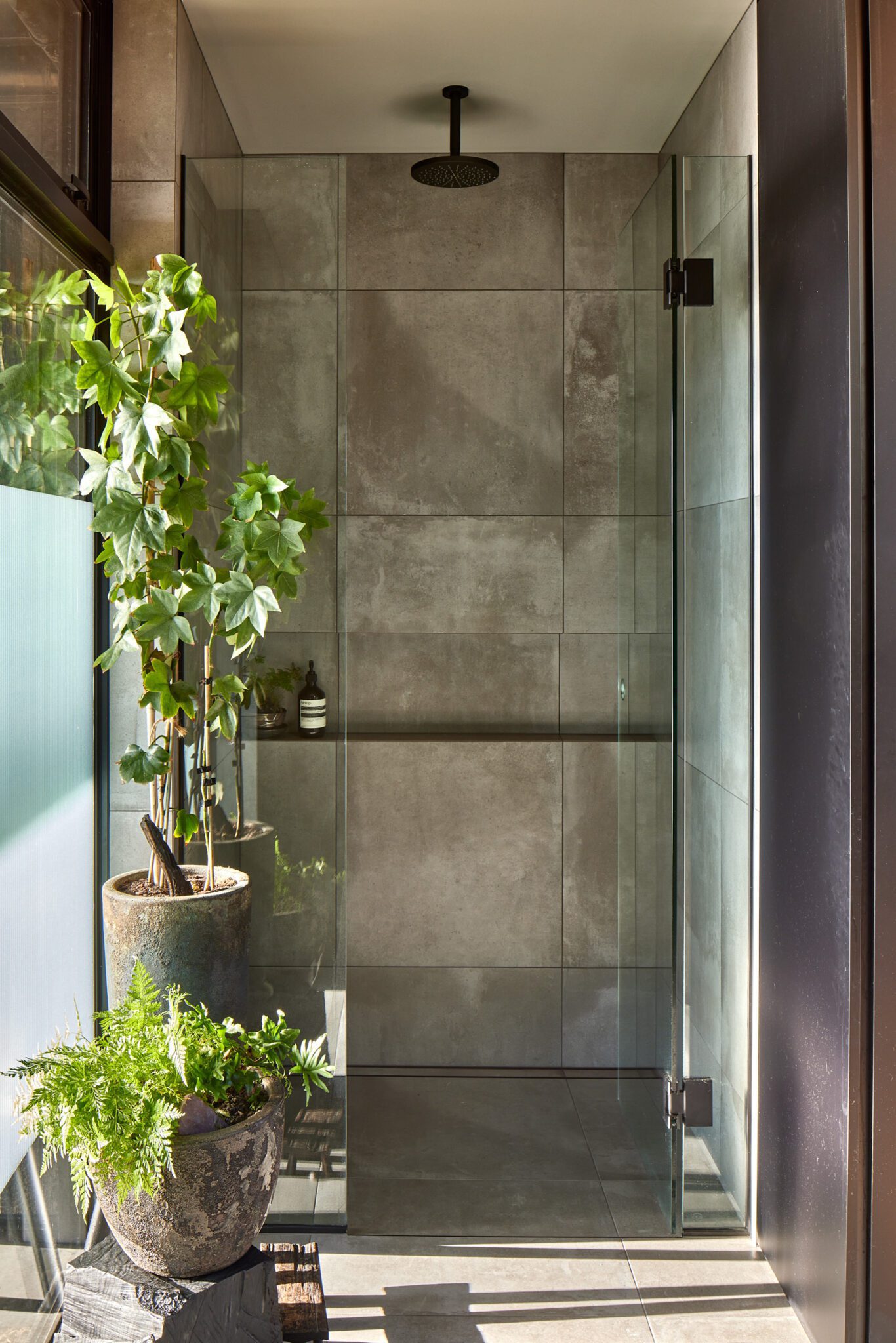 In the 2024 City Home of the Year, Textured Bach by Nic Owen Architects, indoor plants are featured throughout. In this light-filled bathroom, various indoor plants are thriving and help to create a relaxing, spa-like environment. Image: Simon Wilson.