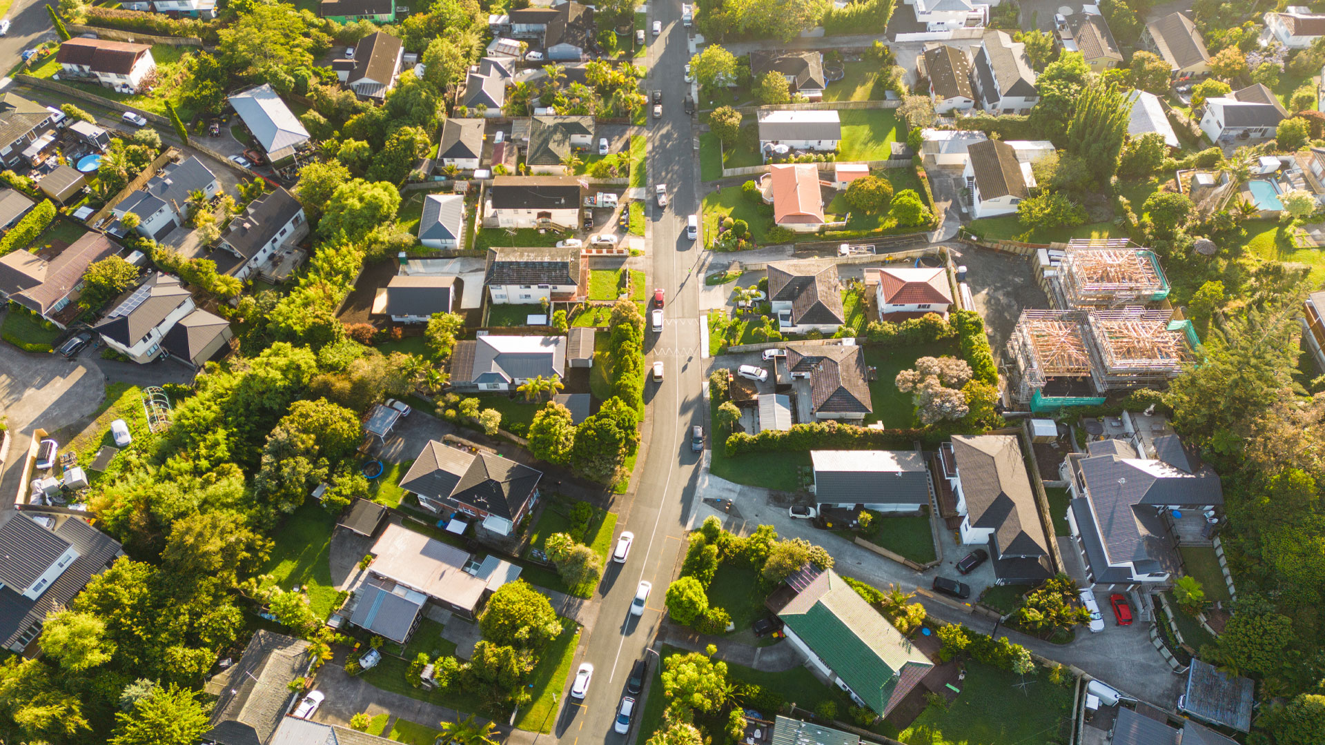 An aerial view of homes in an Auckland suburb.