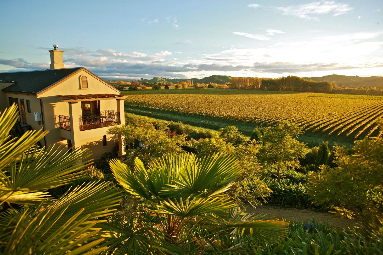 View of 1 Breckenridge Lane with vineyards in the background