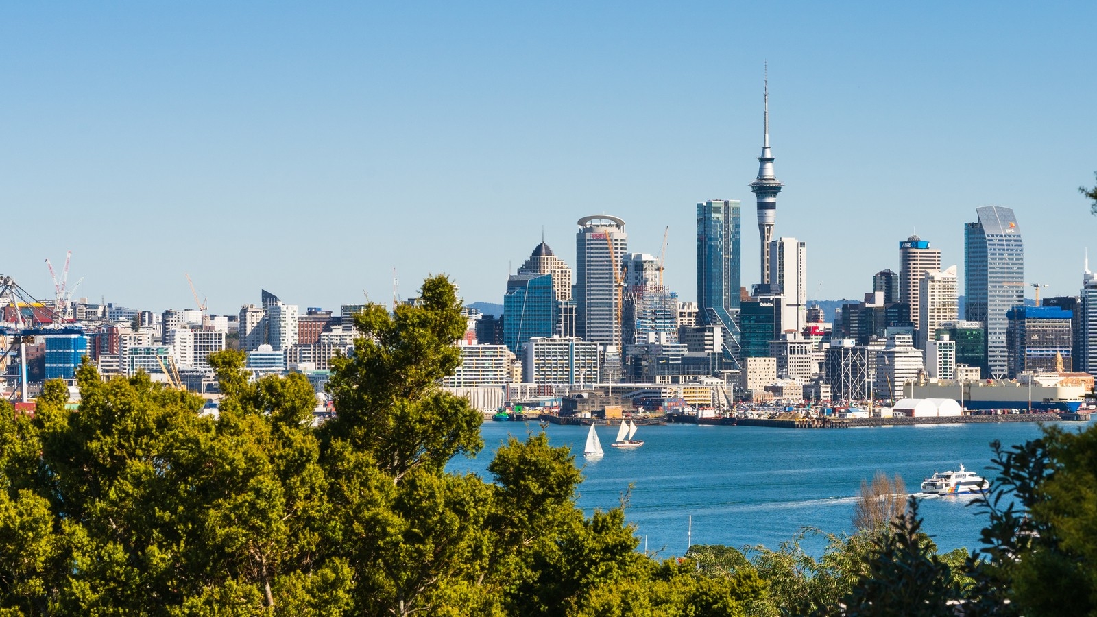 View of Auckland - average rent in NZ.