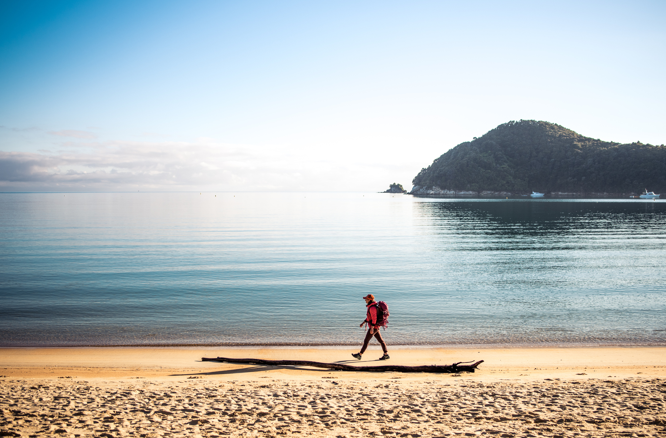 The golden sands of the Abel Tasman national park