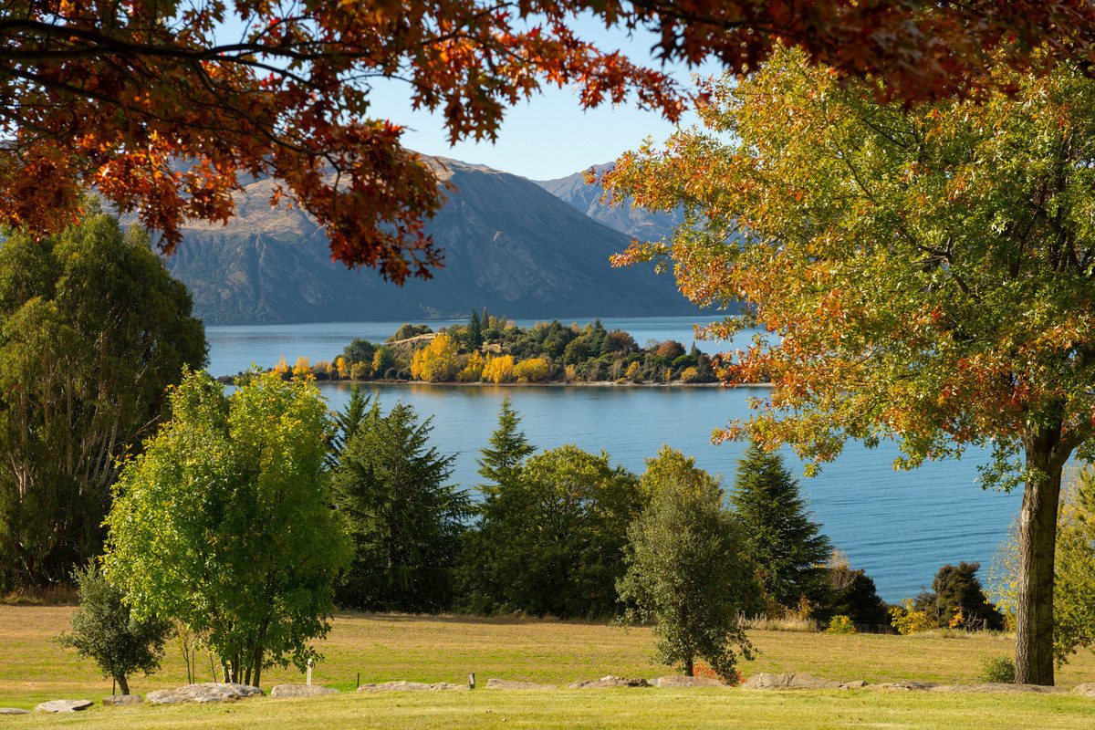 Views of Lake Wānaka