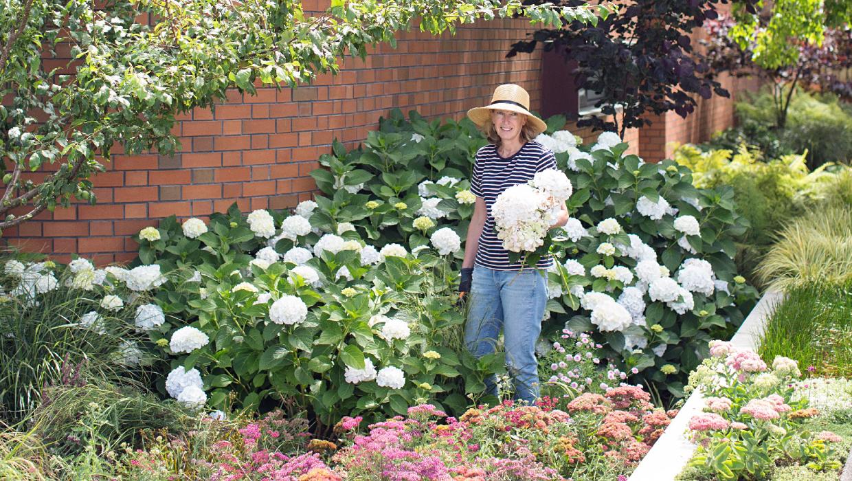 The gardens are mostly outside, a gift to passers-by that softens the brick. 