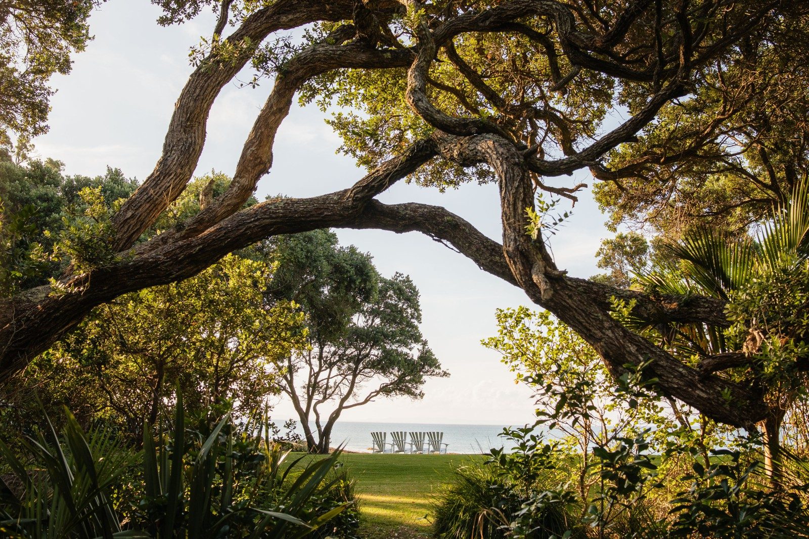 The land transitions from beachfront to rolling pasture and native bush, with orchards, citrus groves and natural water sources supporting a level of self-sufficiency.