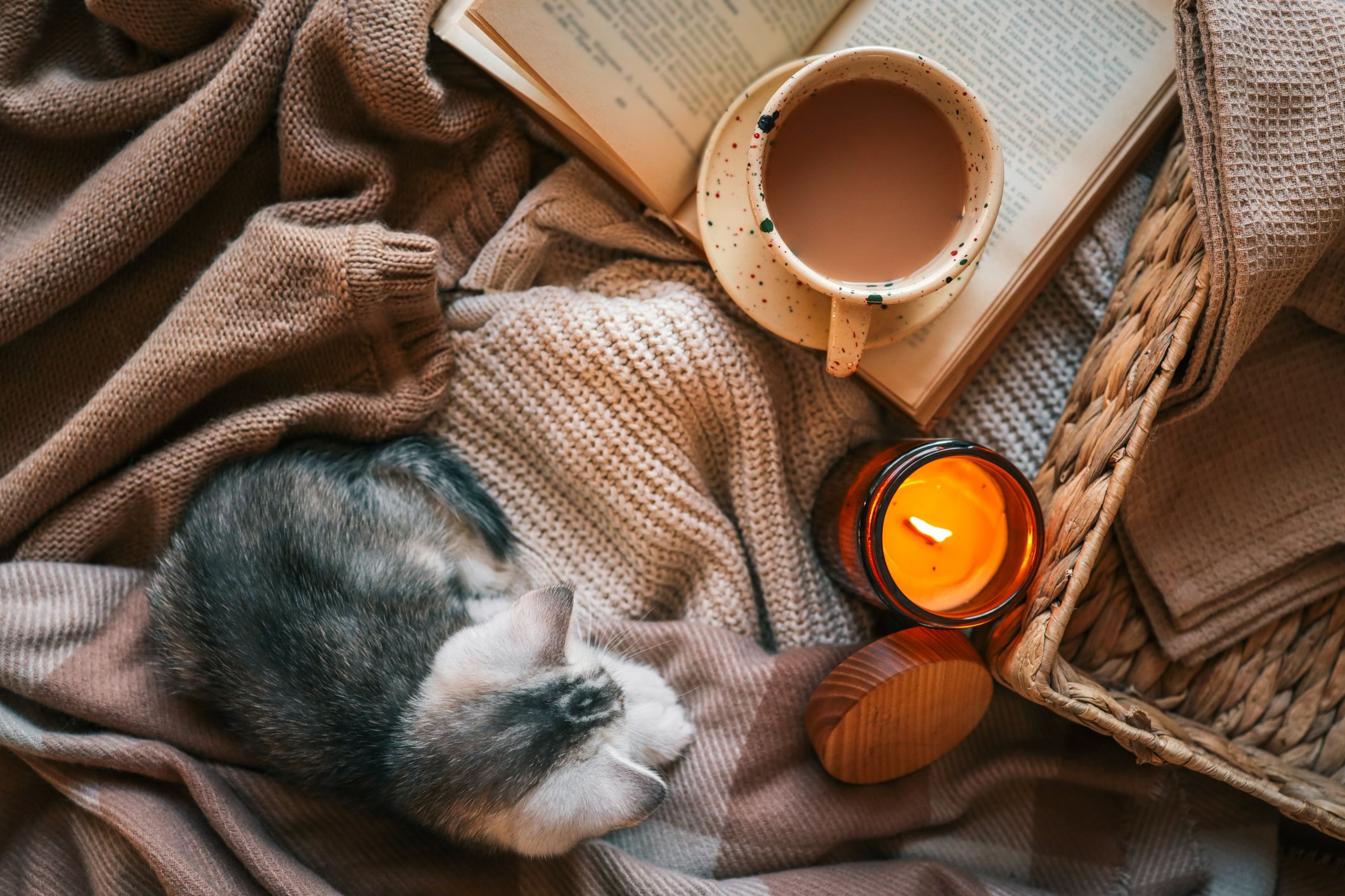 The future of property is cosy: Why Kiwi are searching for comfort and solar in 2026
