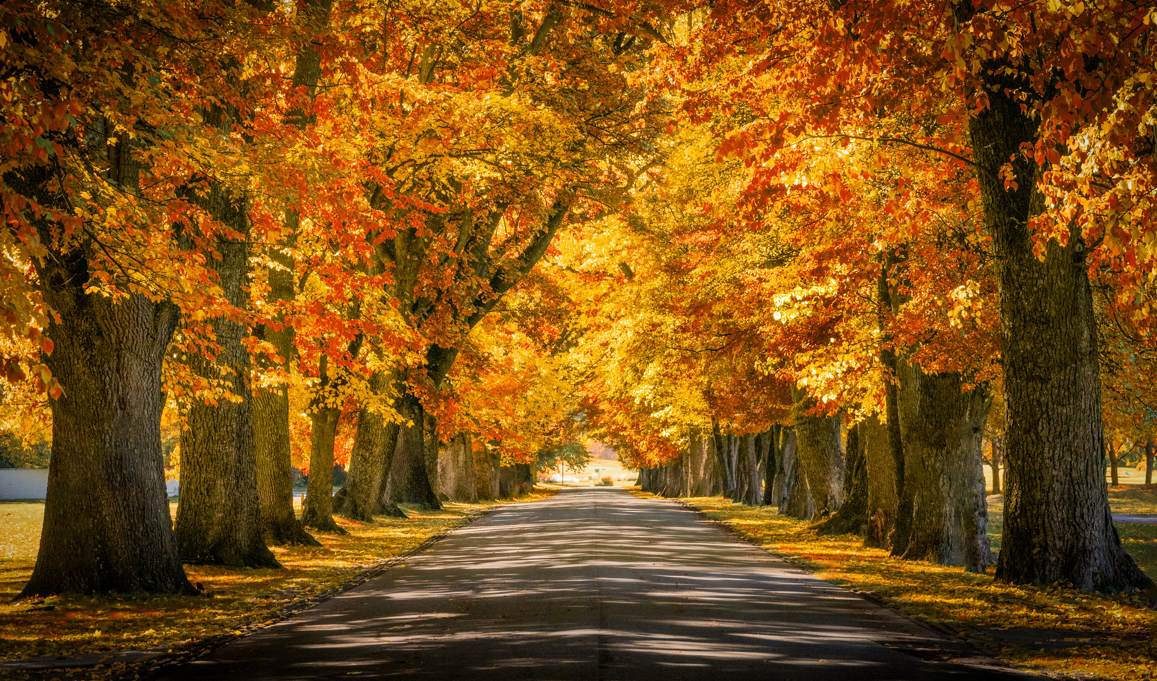 The 20 most expensive suburbs of 2026