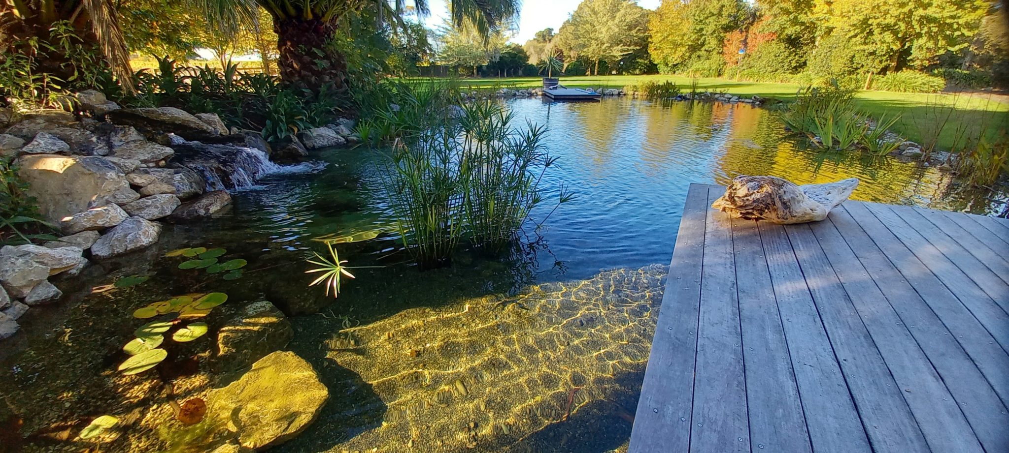 natural pool