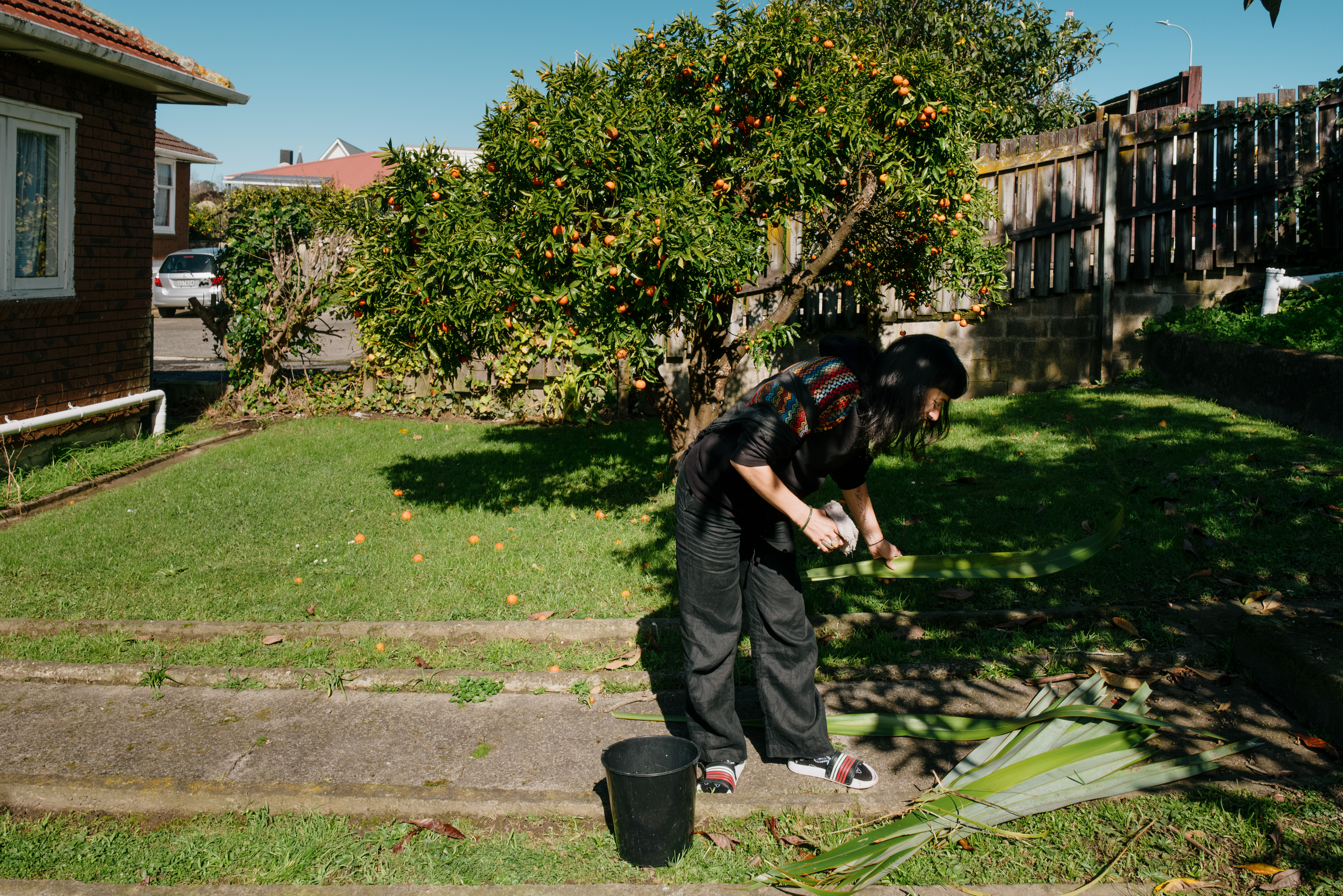 Ahi in their garden sorting harakeke (flax)