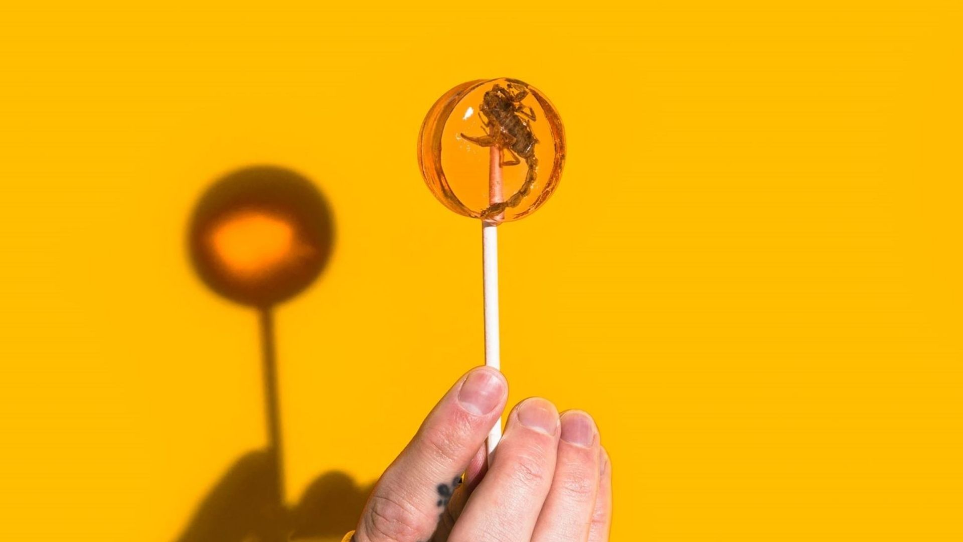 A hand holds a clear lollipop with a scorpion in the centre, the background is yellow.