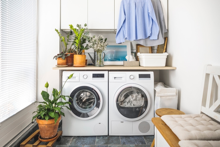 Best Clothes Dryers in NZ