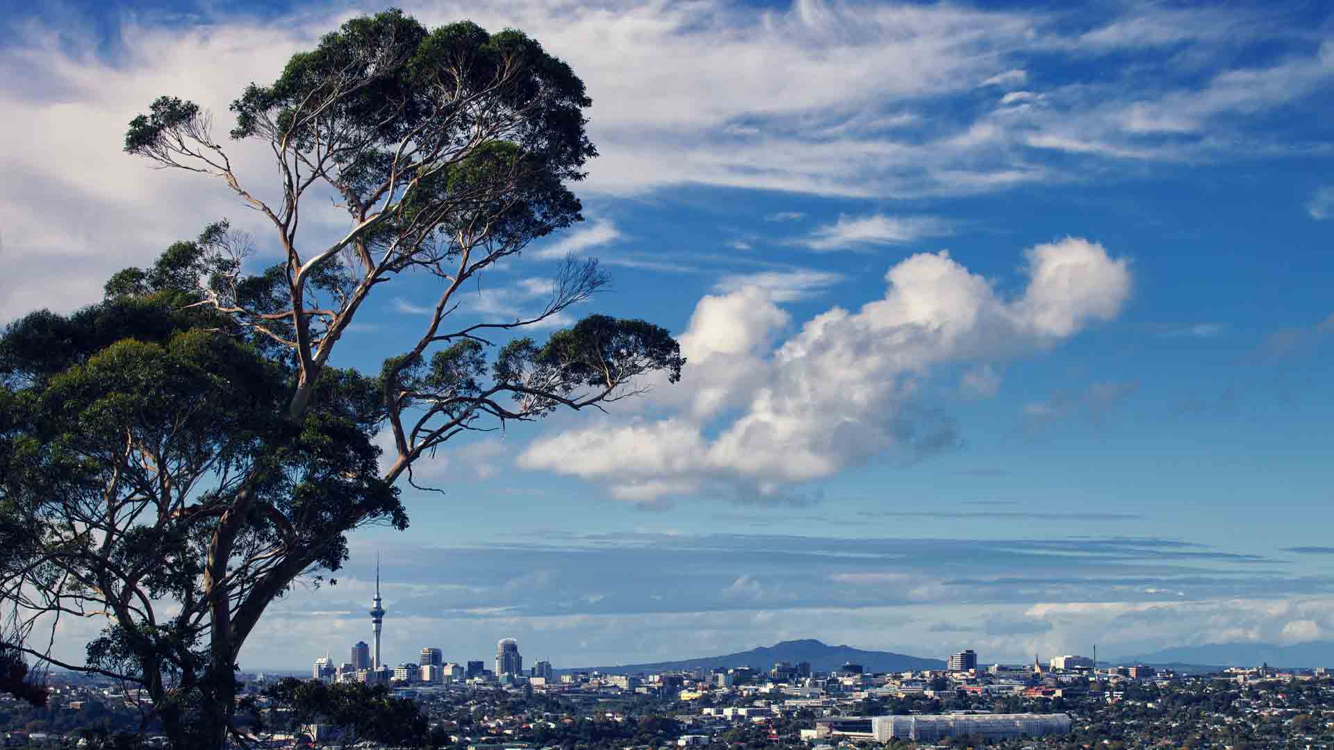 Looking at Mt. Albert properties? You'll be able to climb the volcano that gave the suburb its name.