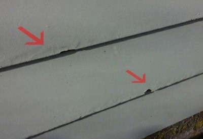 Red arrows show rotting in weatherside cladding