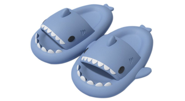 Shark slide shoes