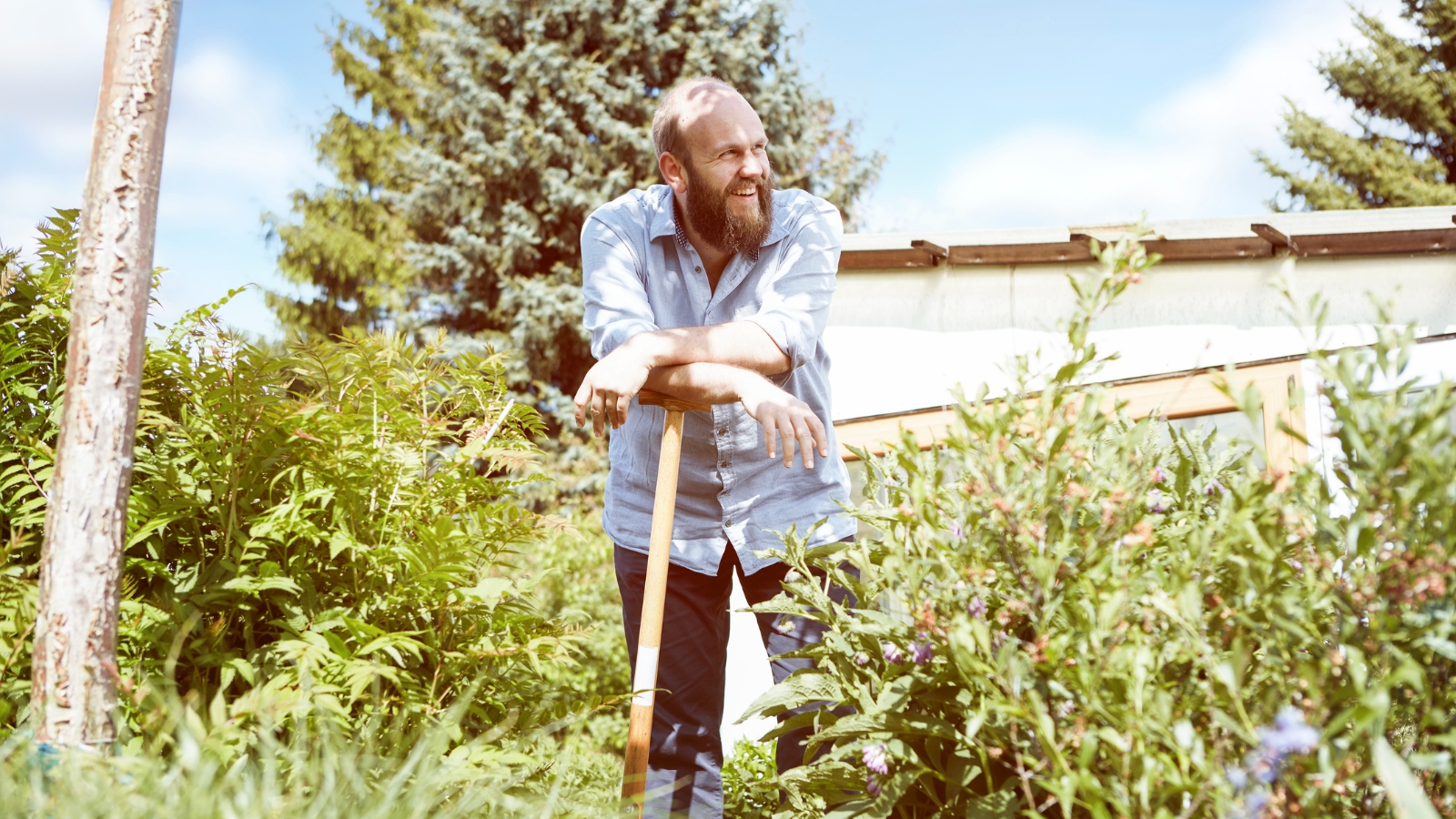 Gardener and landscaper