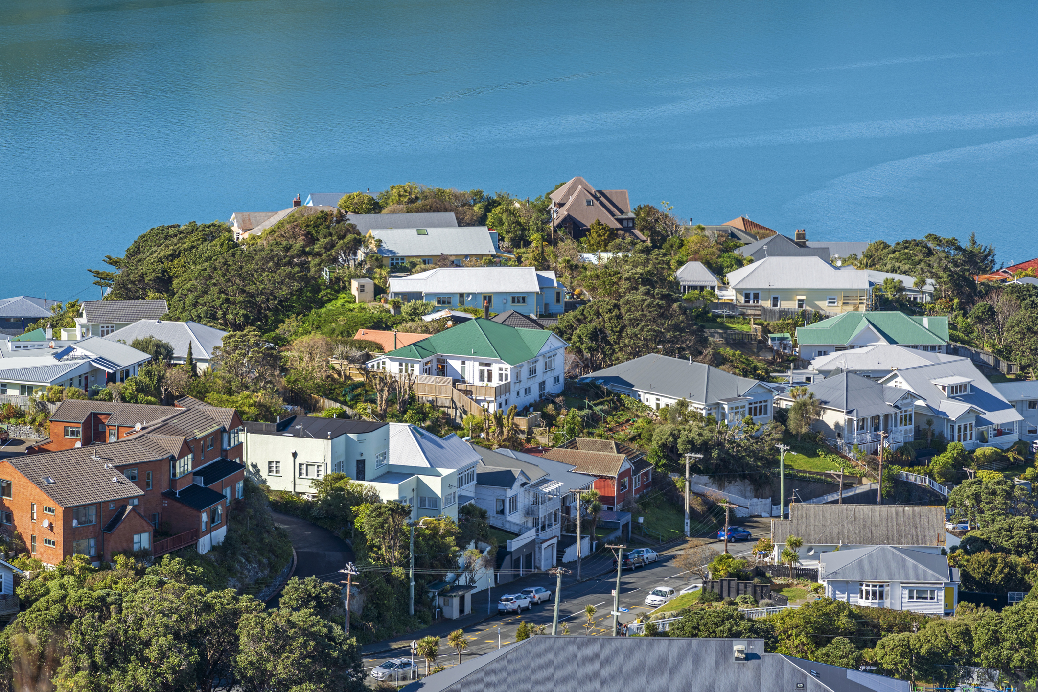 Image of Wellington