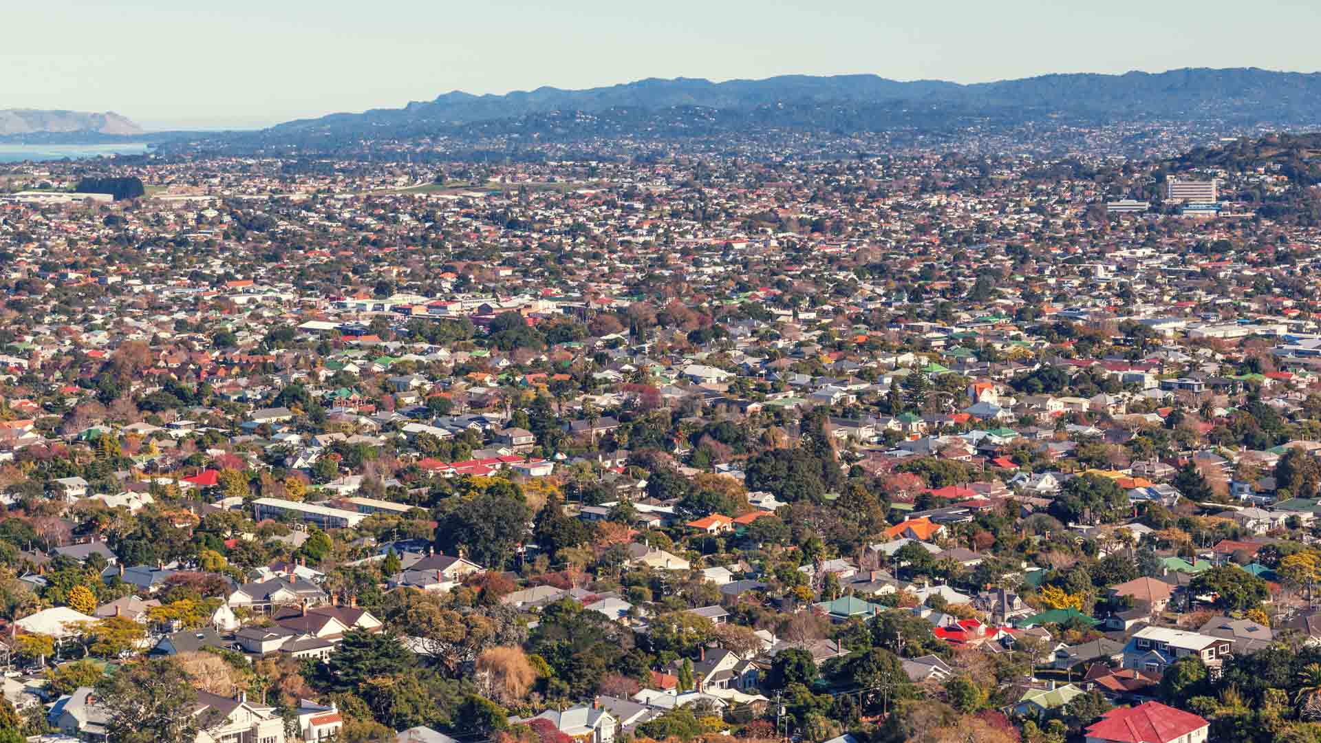 The suburb of Mount Albert in Auckland.
