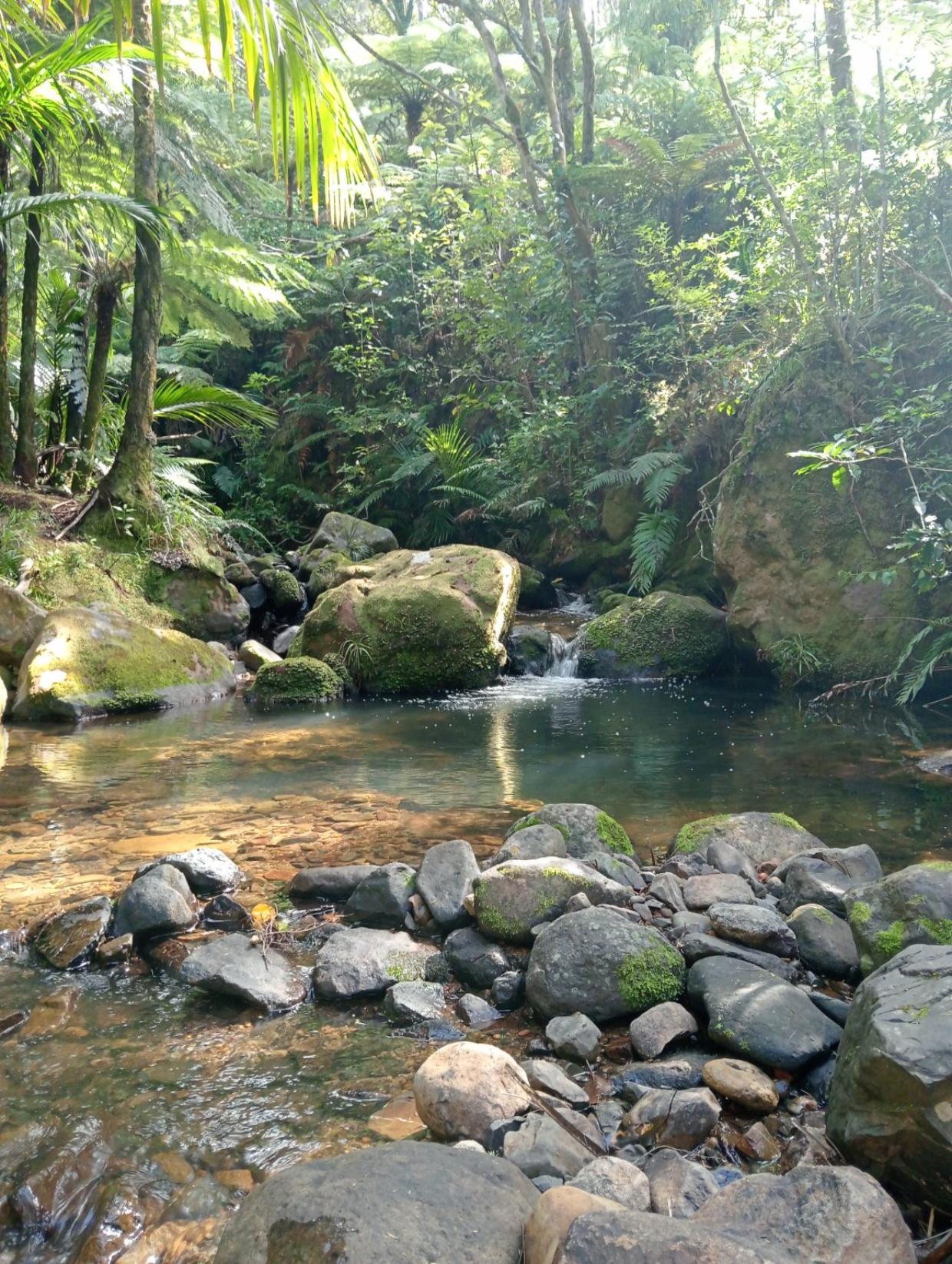One of the fresh water swimming holes. 