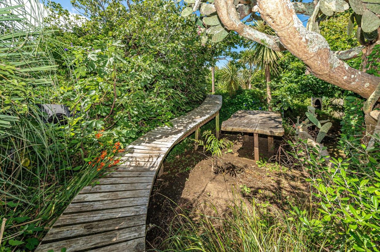 There's a boardwalk through the mature trees. 