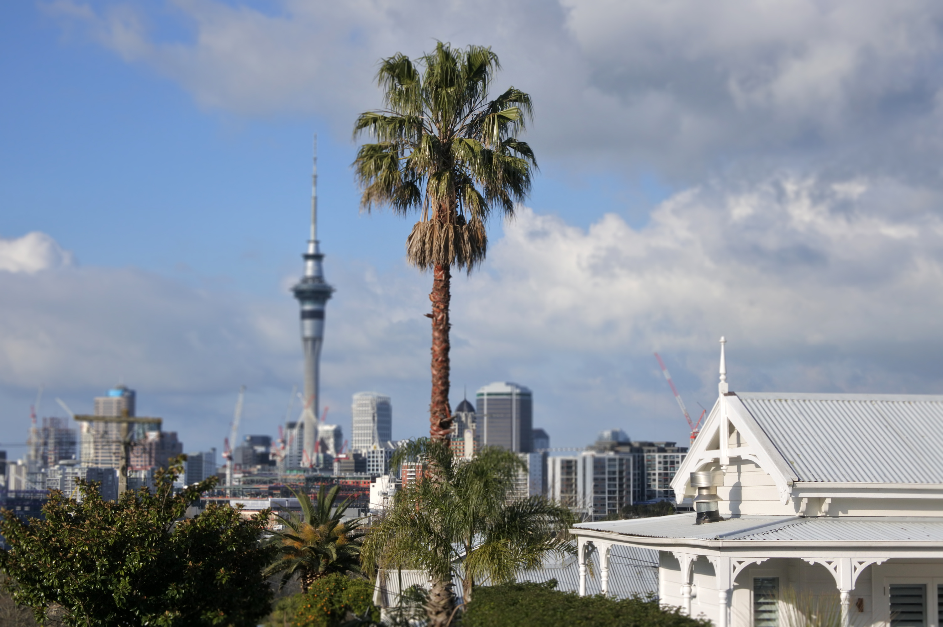 Image of Auckland with Sky Tower in the background