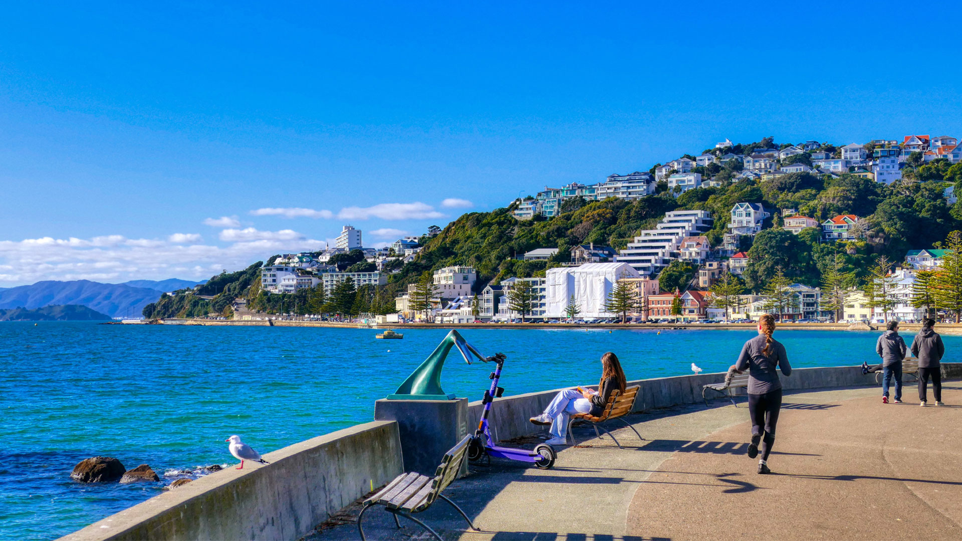 A photo of the Oriental Parade walkway with someone sitting on a bench and another person on a run.