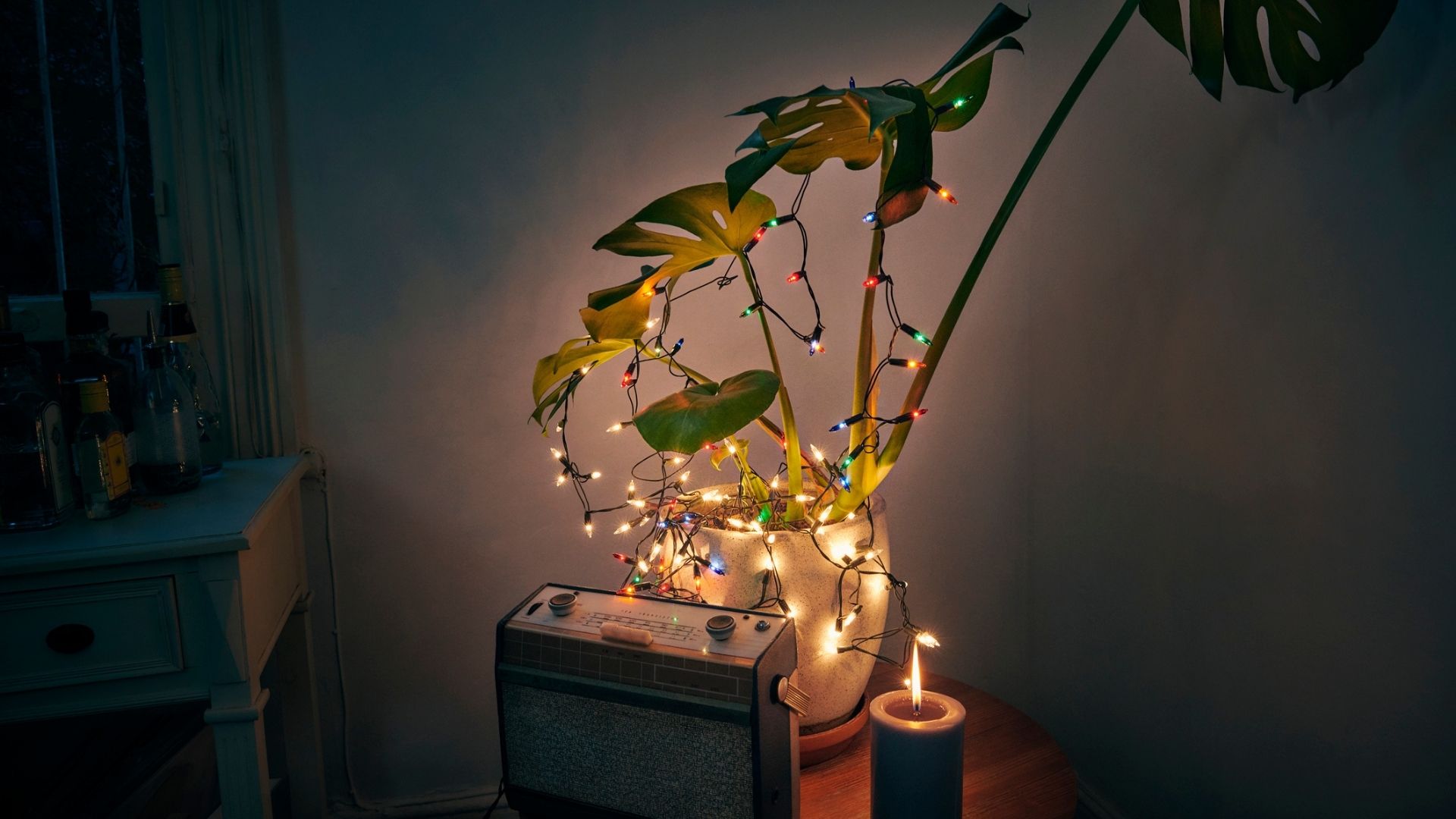 A monstera potplant is draped in coloured fairy lights, in front of it is a radio and a candle.