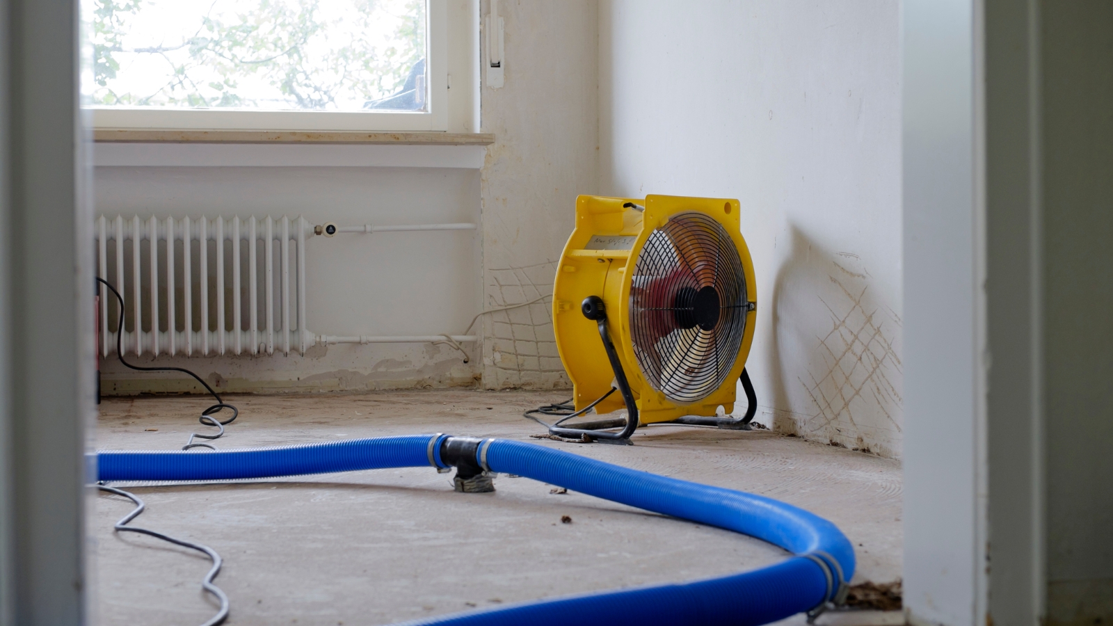 Image of drying machine drying leaky home in NZ. 