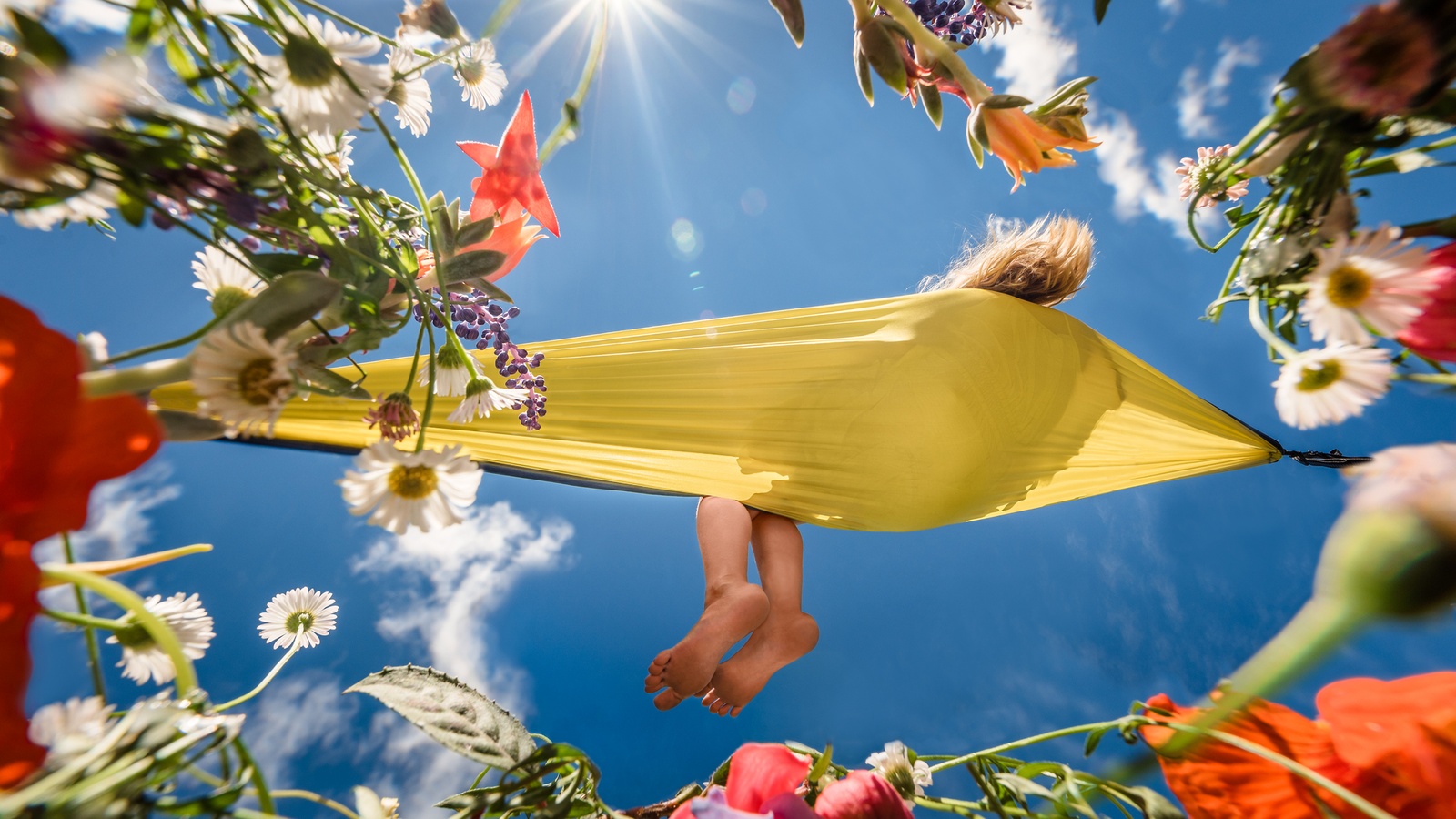 Hammock garden landscaper in Wellington