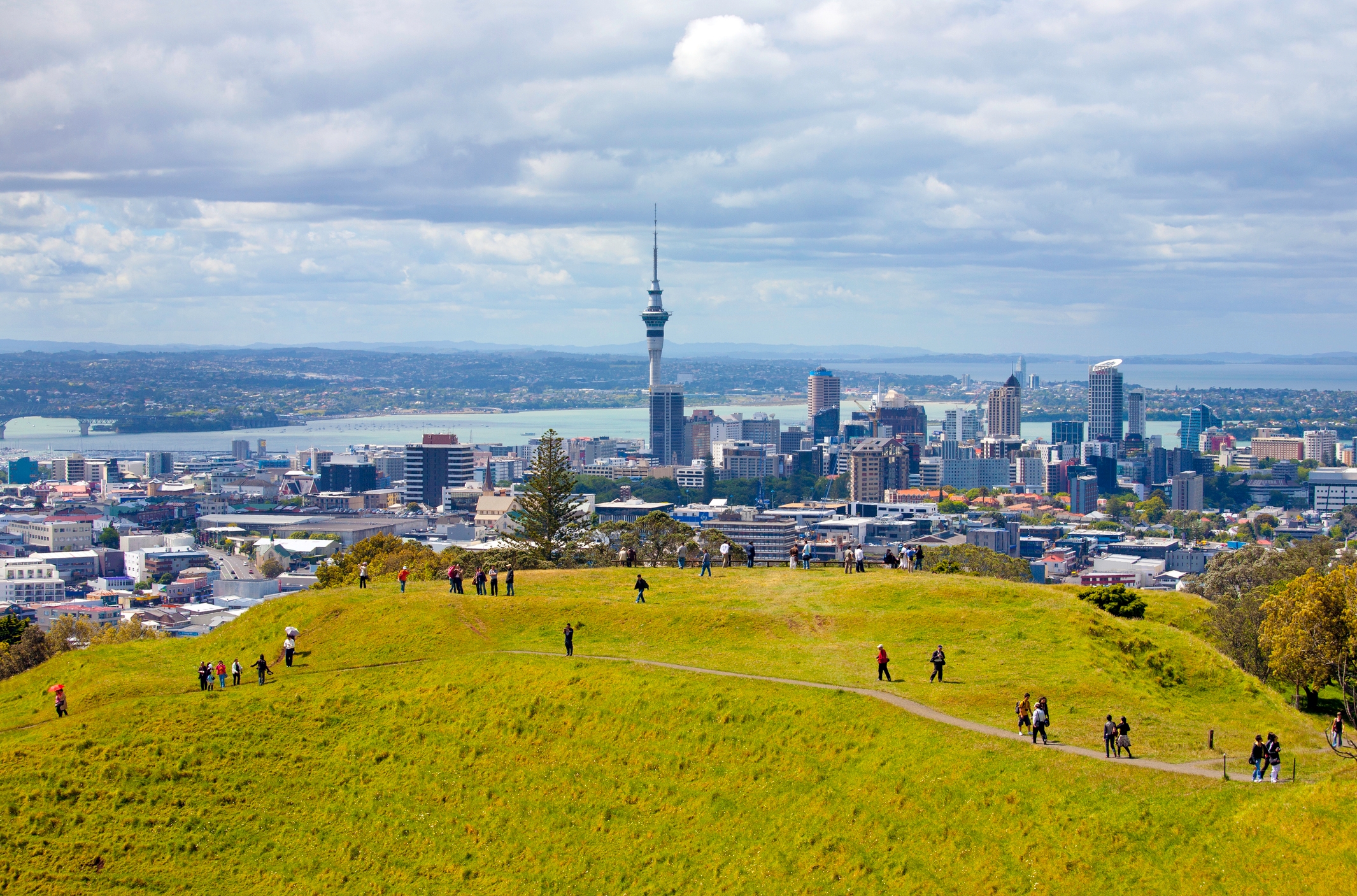 Auckland city