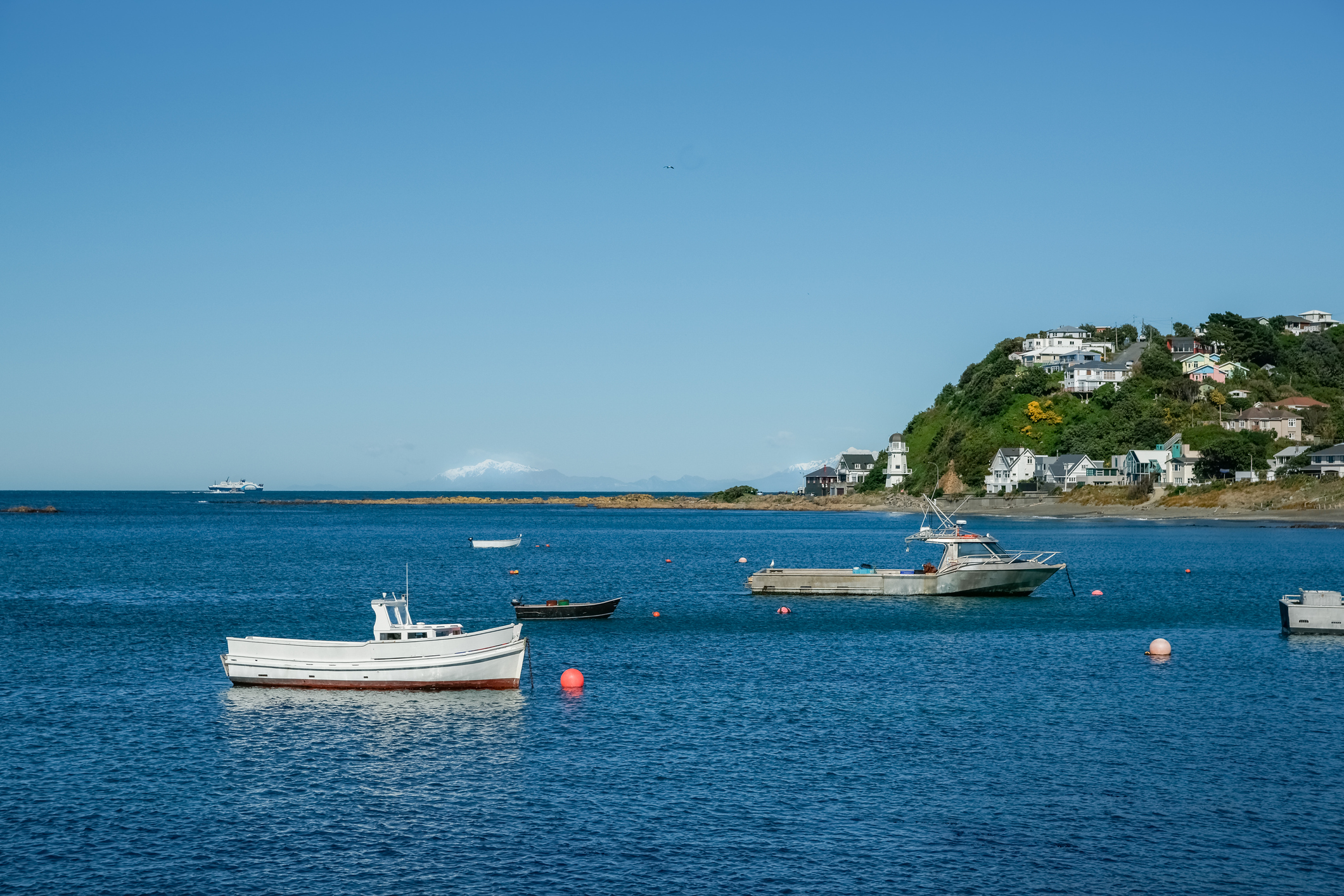 Island Bay boats
