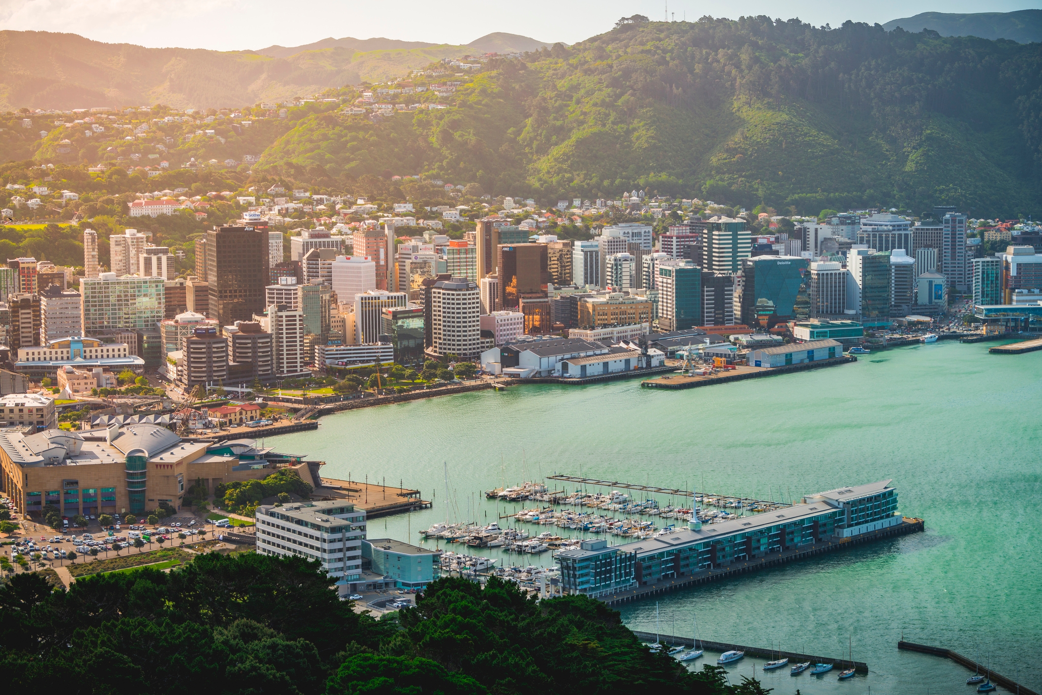 A panoramic view of Wellington from the top of Mount Victoria.