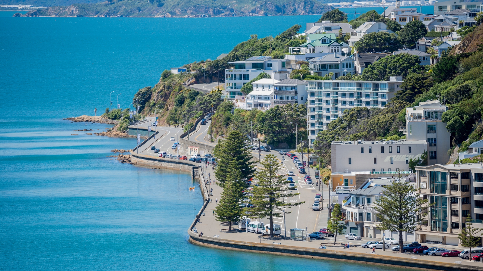 Wellington waterfront from a drone. 