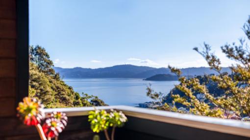 Harbour views. Photo: Harcourts/TRADE ME