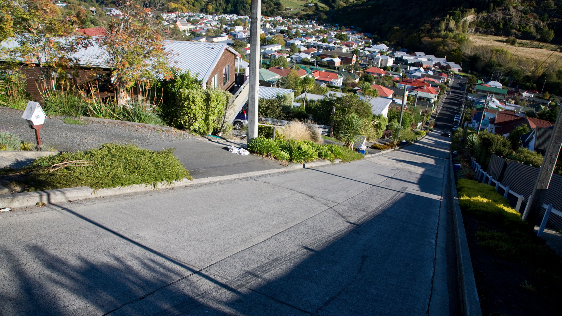 A picture of the world's steepest street, which is found in Dunedin, Otago.