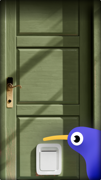 Front door image