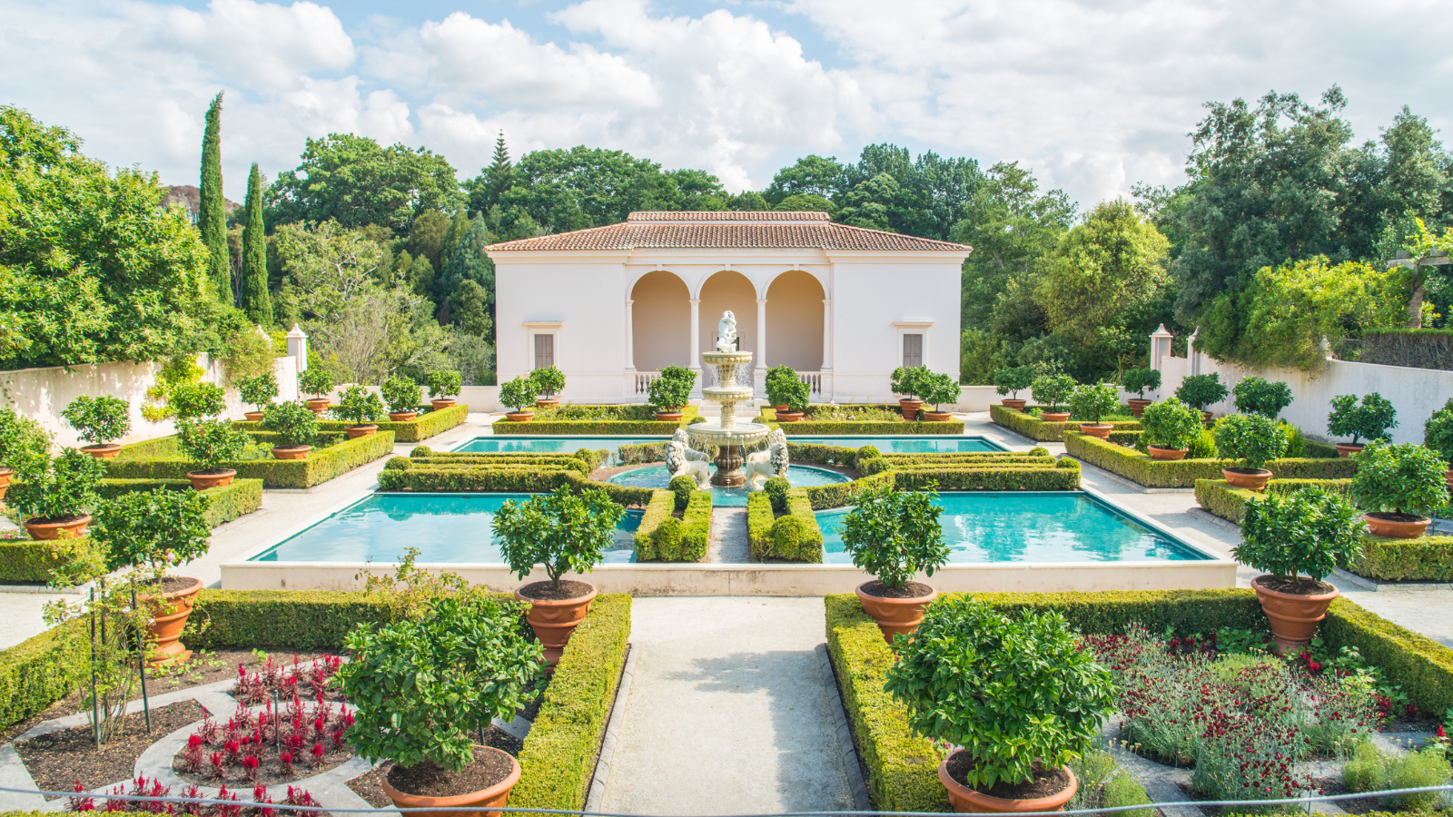 Hamilton gardens picture