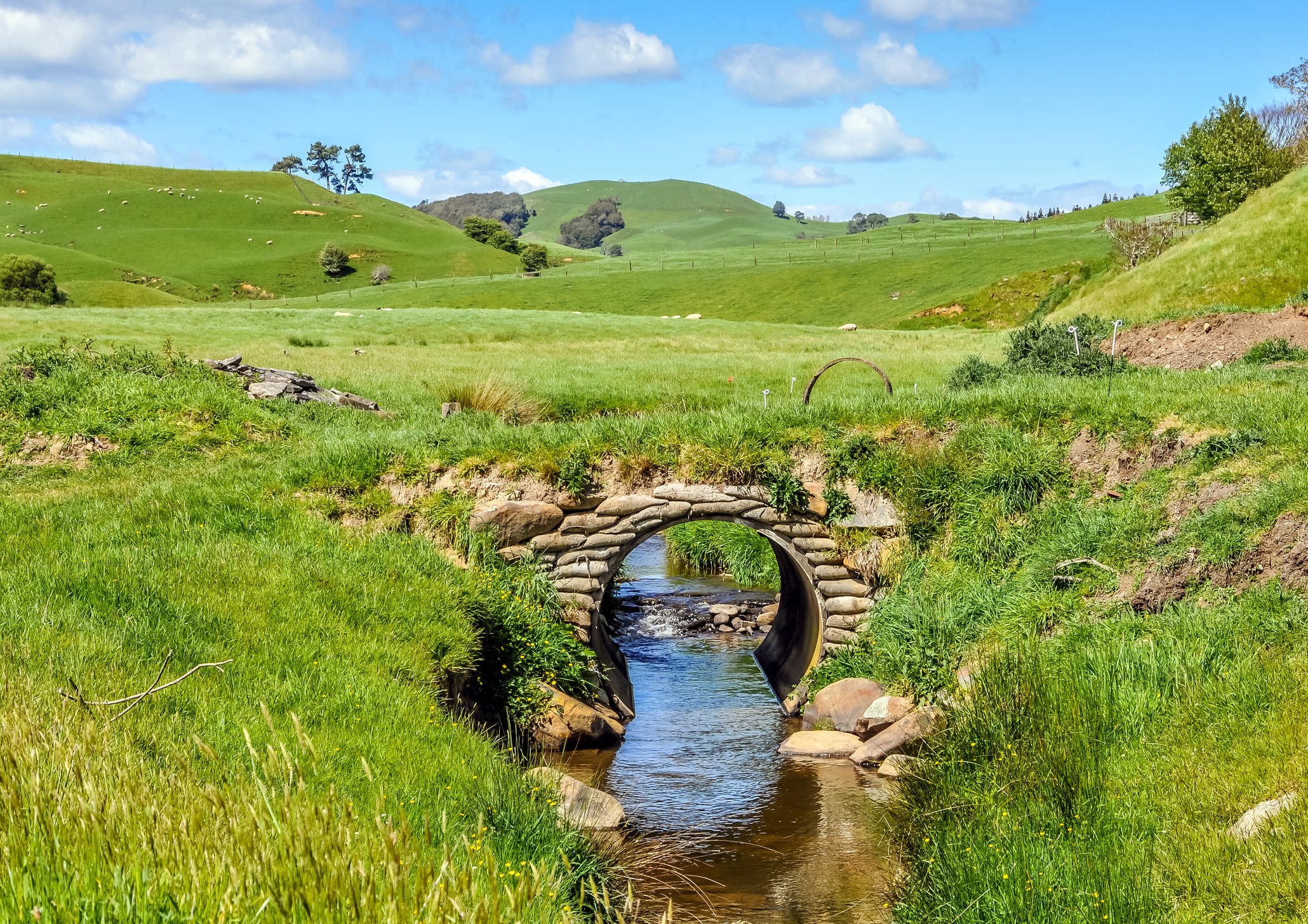 R&V moving to the Waikato? 3 Tamahere properties to lock in your 2027 accommodation early.