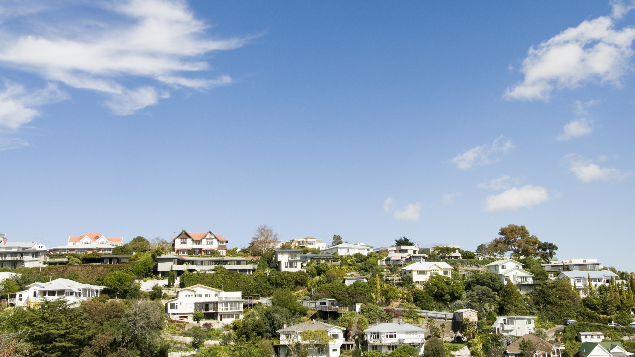 Bluff Hill, Napier's best suburbs.