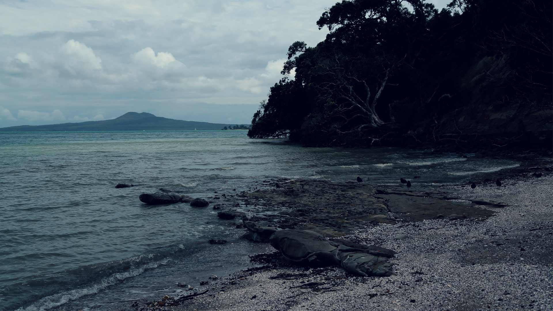 View of Rangitoto from Bucklands Beach suburb.