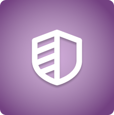 Safe icon