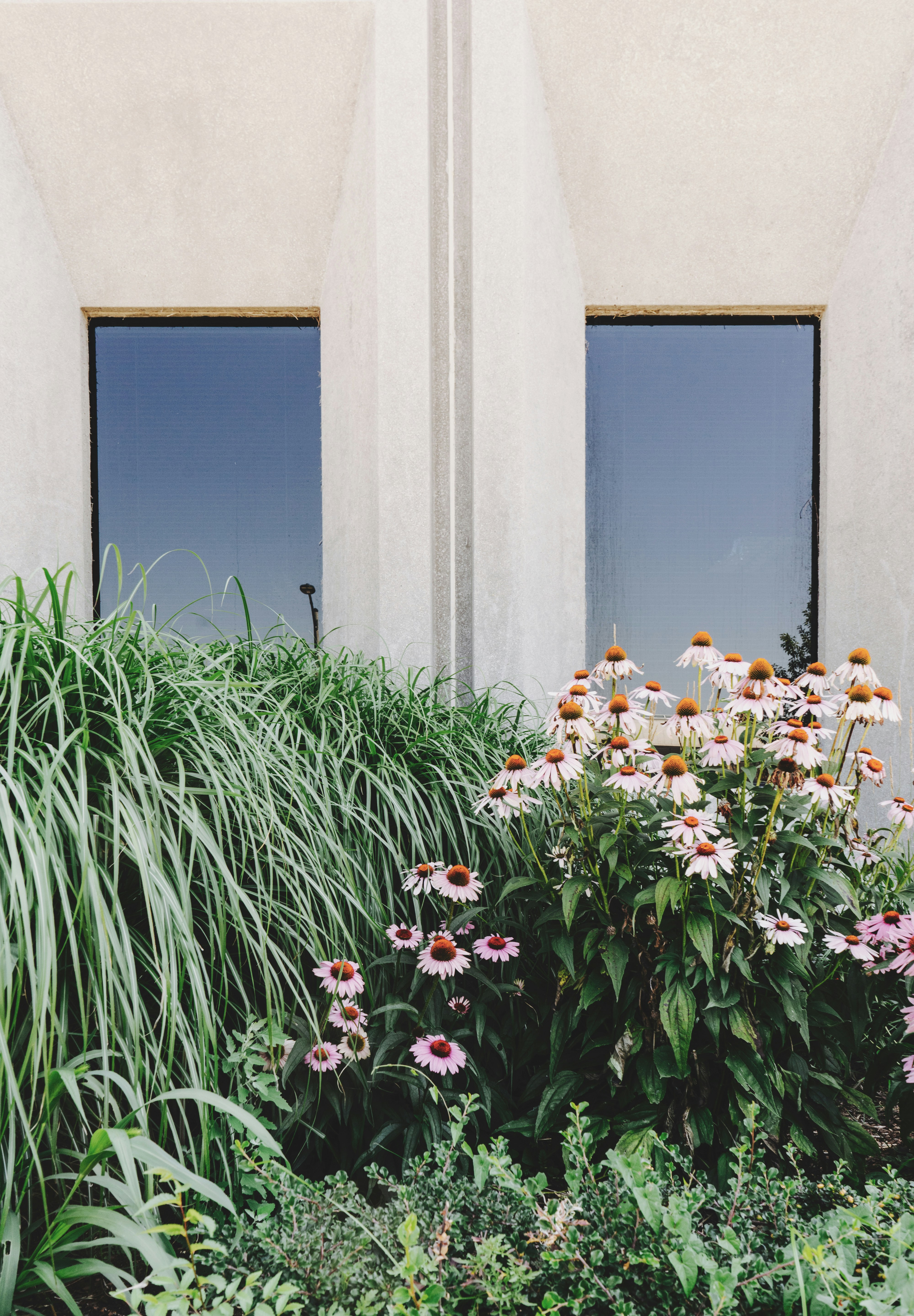 Using layered foliage this small garden creates a lush backdrop oozing with street appeal.