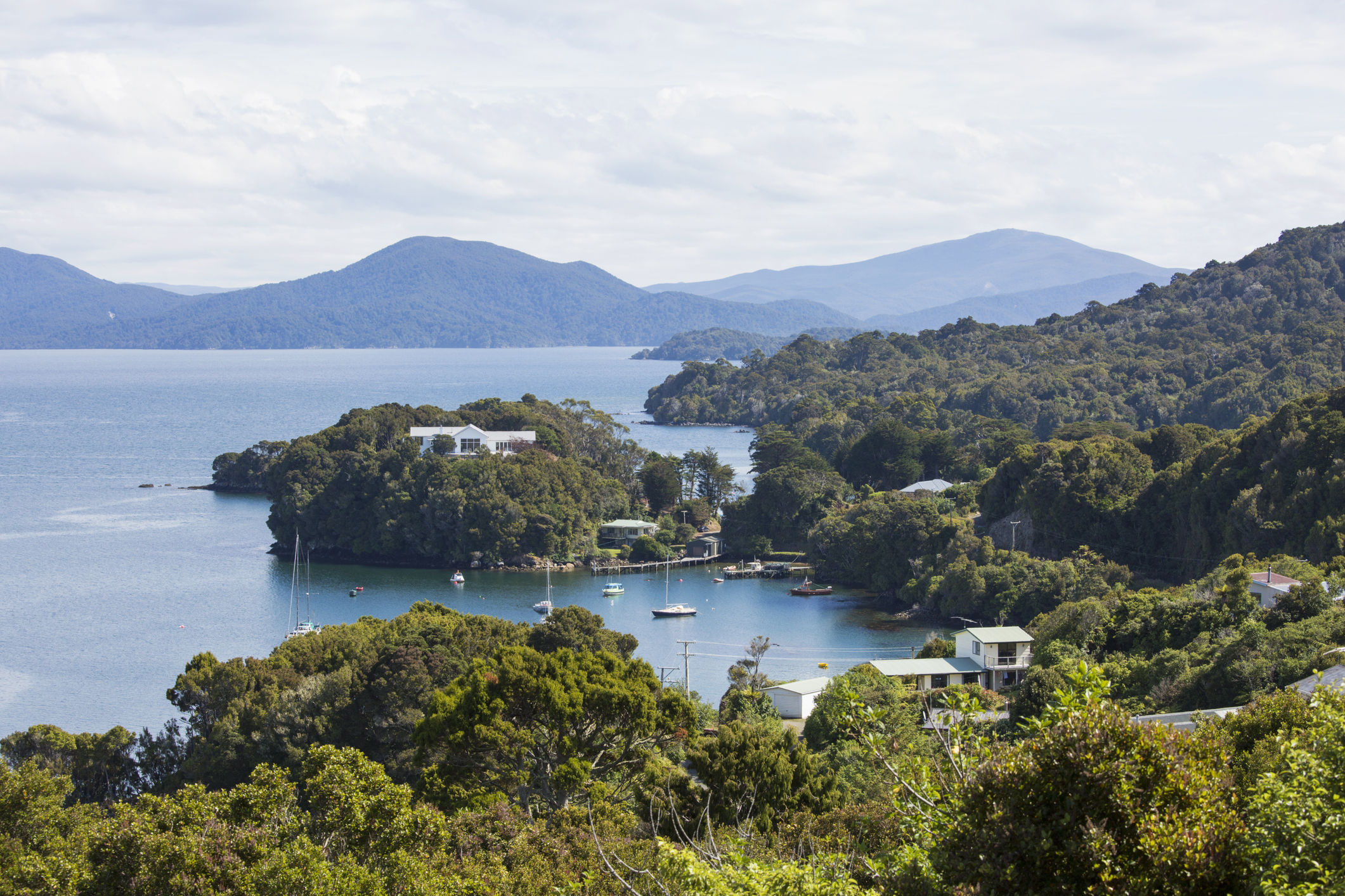 Stewart Island, 