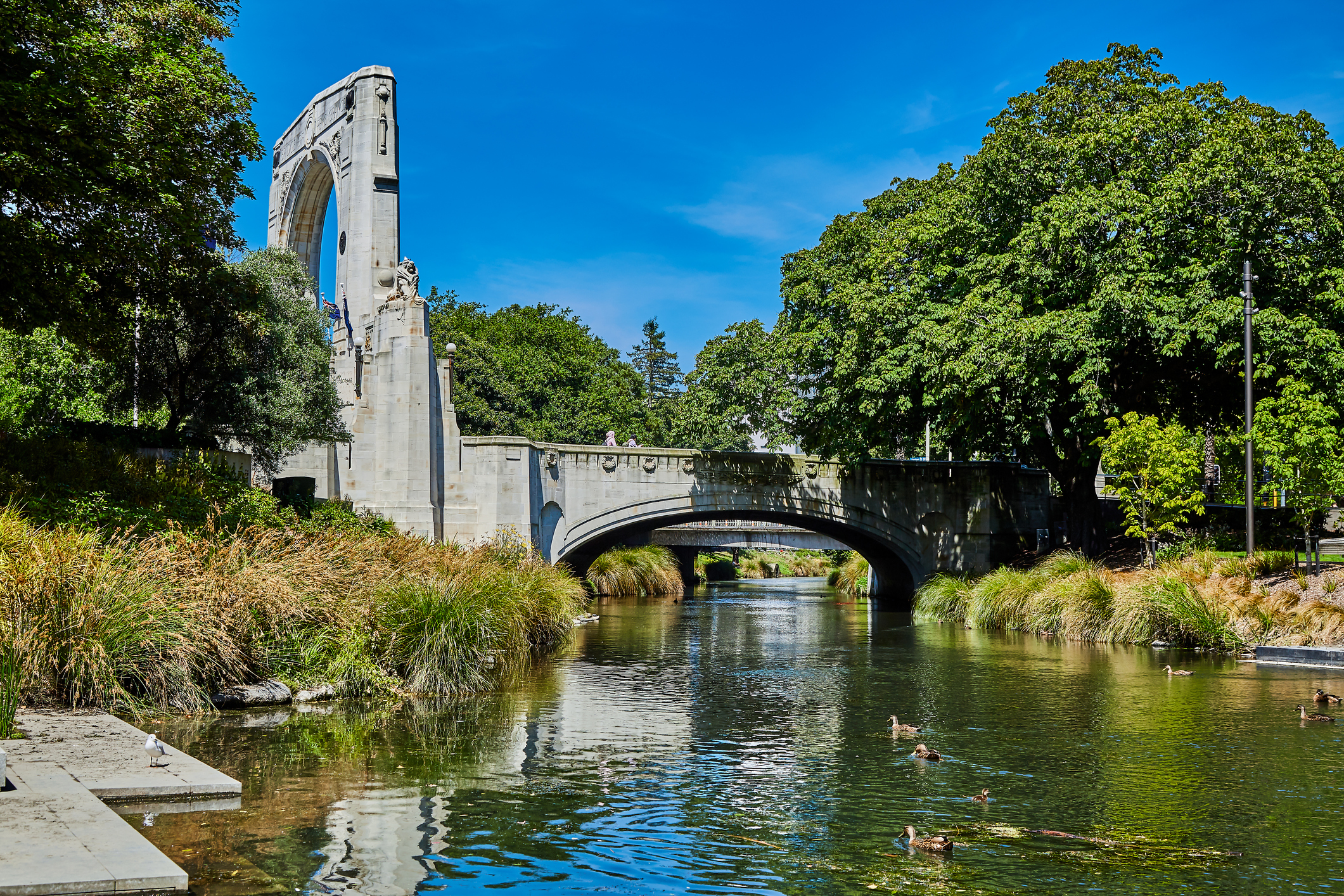 Winter spotlight on Canterbury: Resilience and growth in the garden city