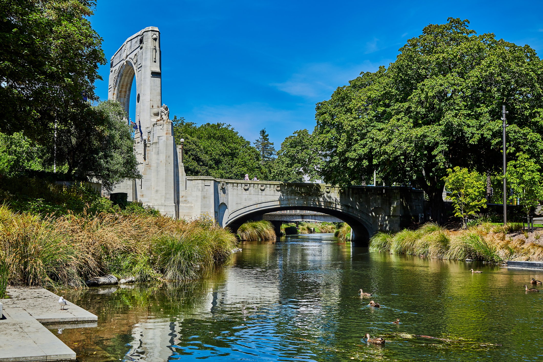 Winter spotlight on Canterbury: Resilience and growth in the garden city
