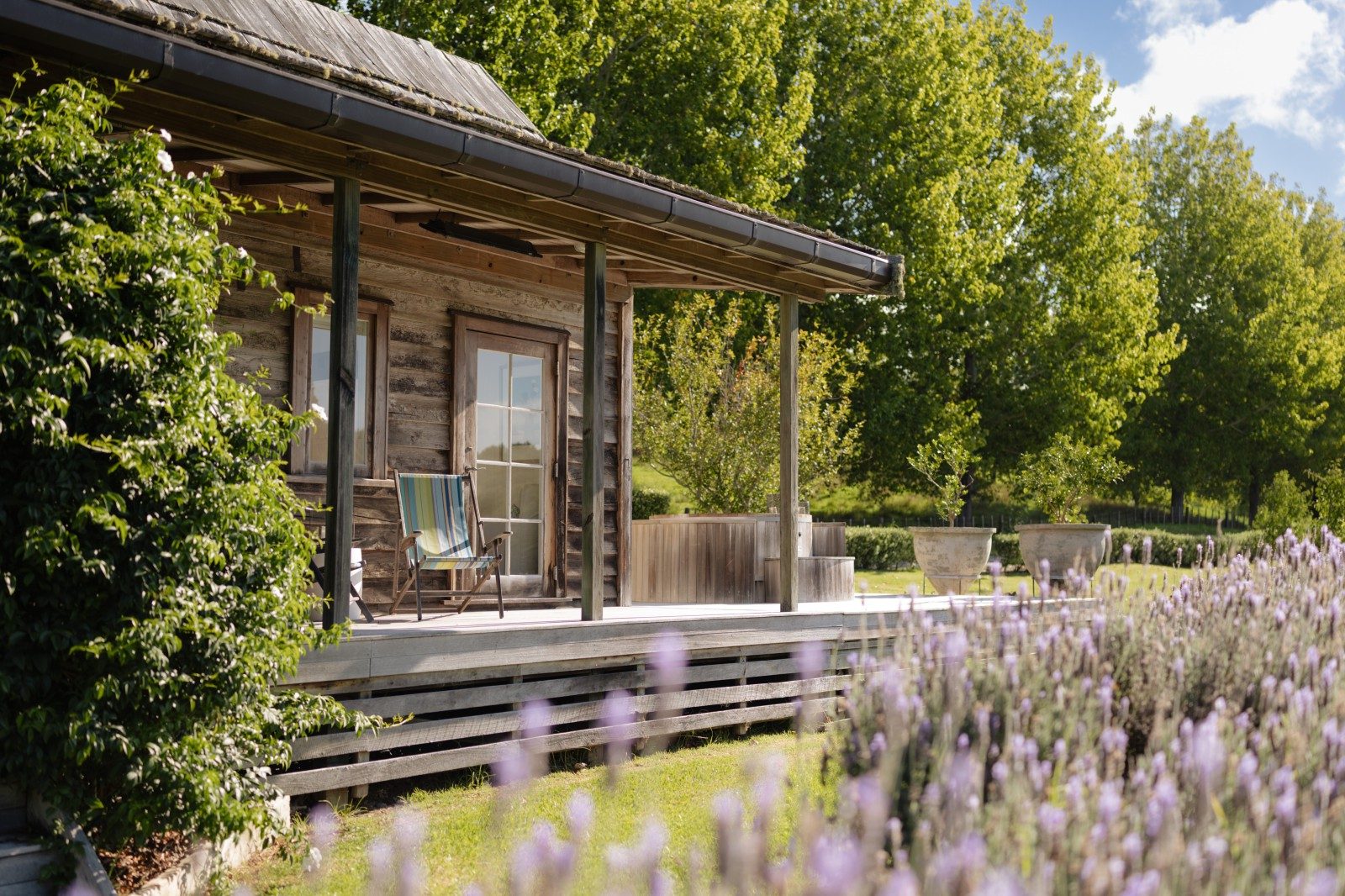 A cottage with lavender