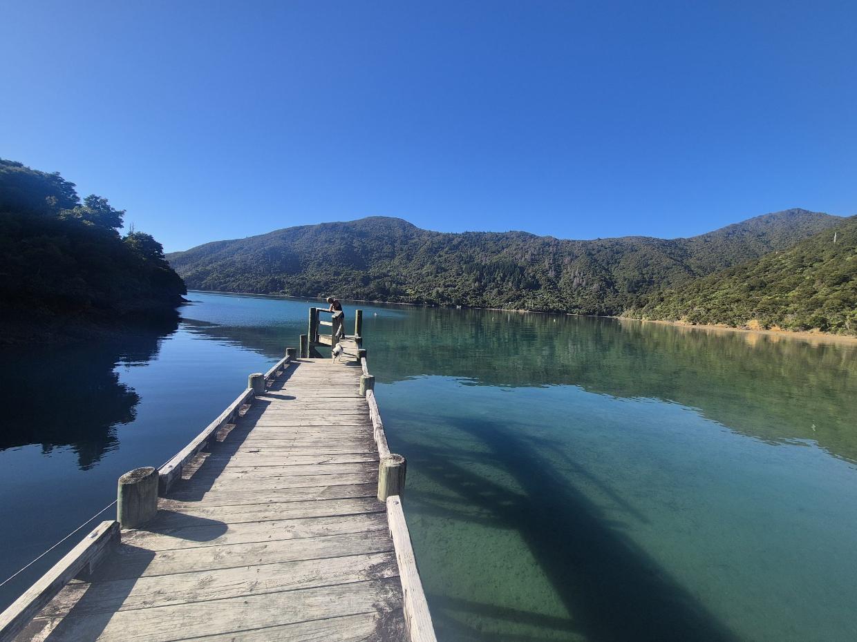 A dock for boats
